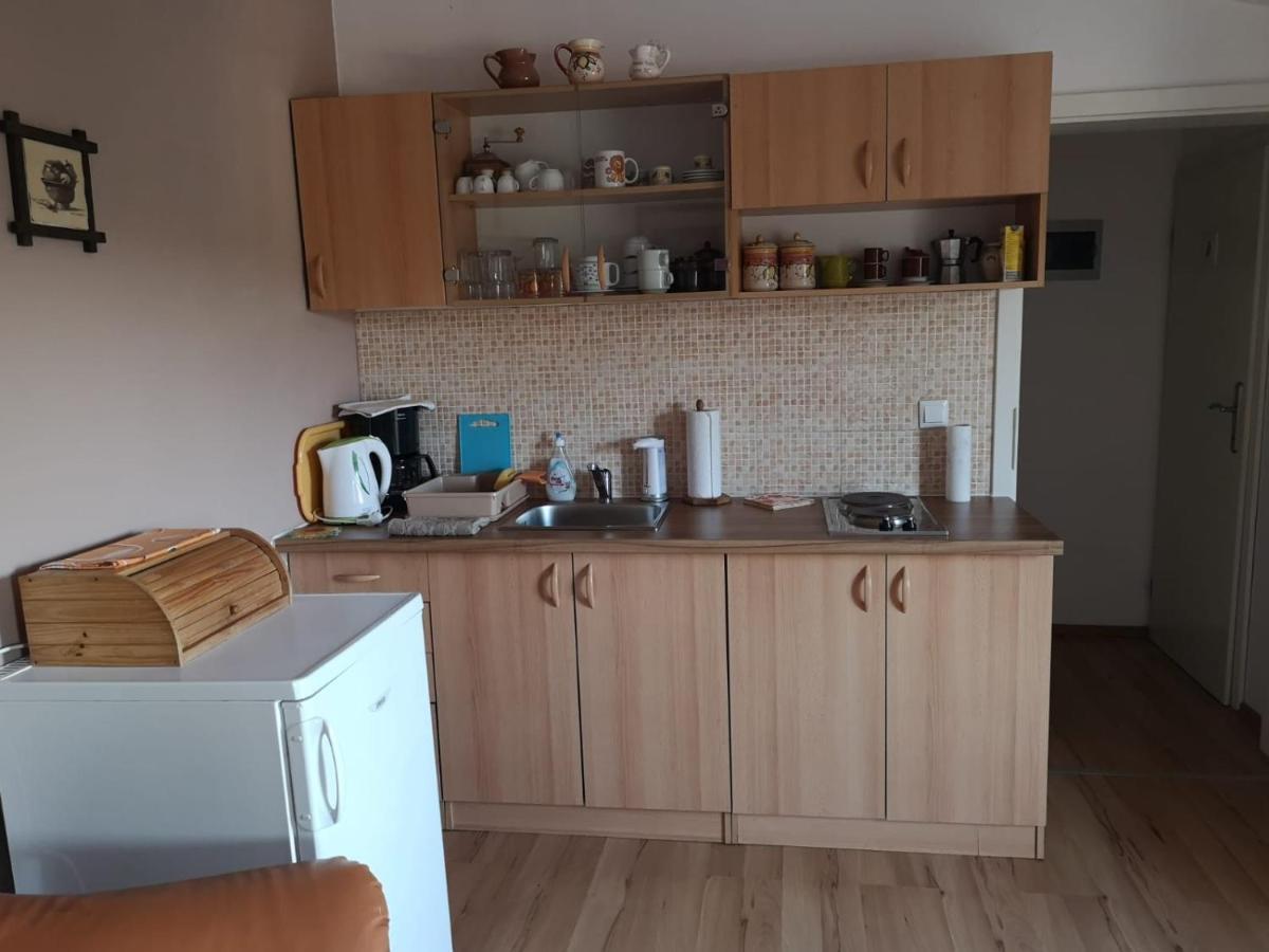 Apartment Samanta Шишан Екстер'єр фото
